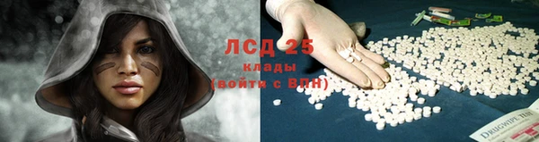 тгк Богданович