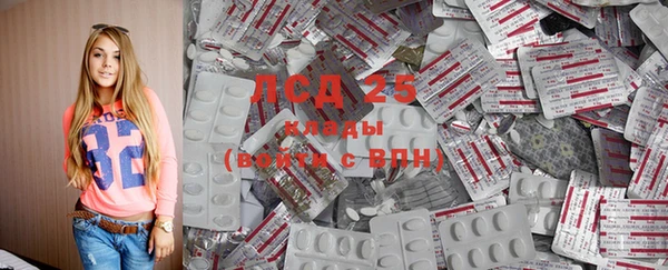 тгк Богданович